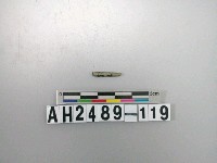 藏品(磨製石針)的圖片